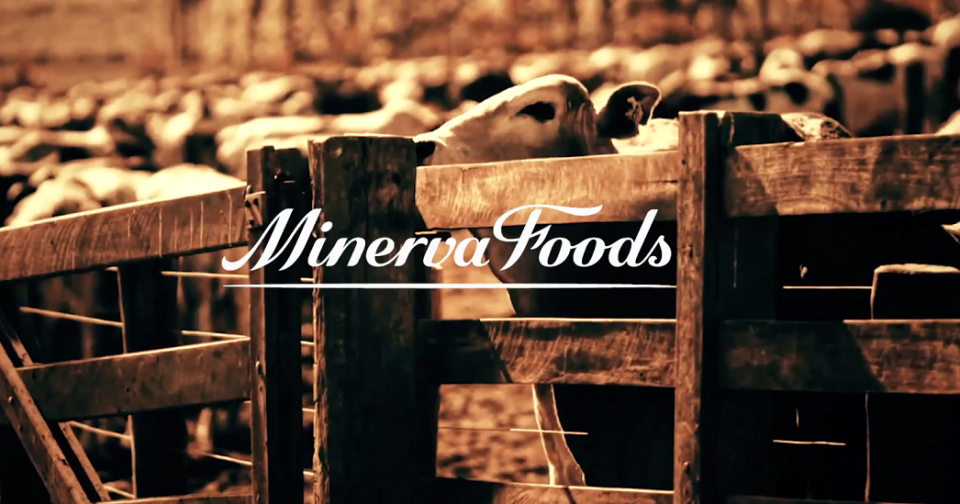 Minerva Foods