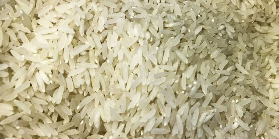 arroz 1009201525