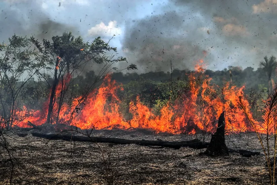 queimadas Amazonas