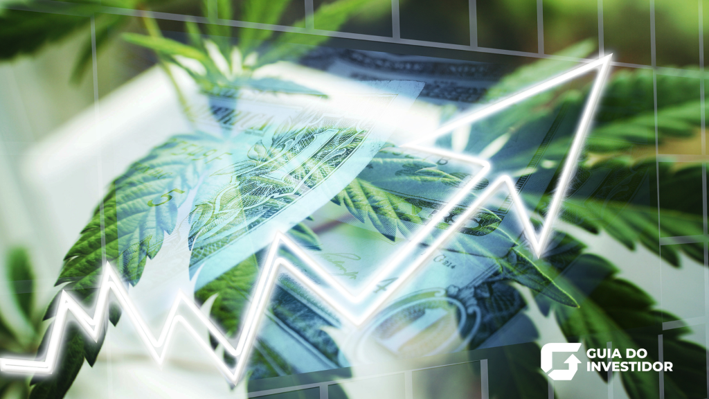 Conheça agora os melhores ETFs de Cannabis para 2024.