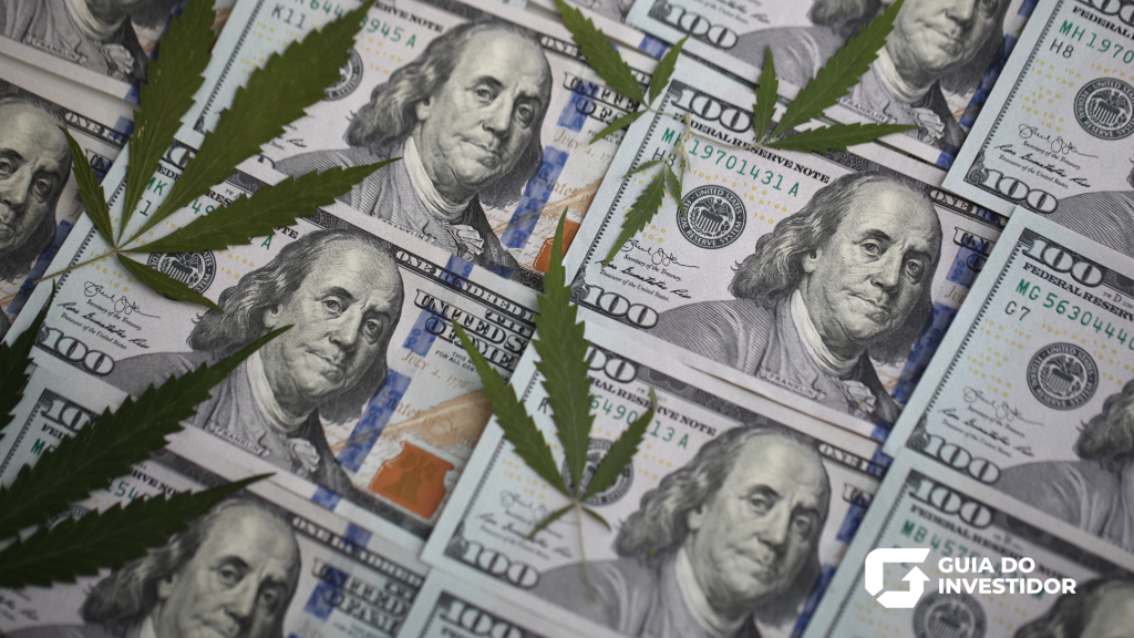 Conheça agora os melhores ETFs de Cannabis para 2024.