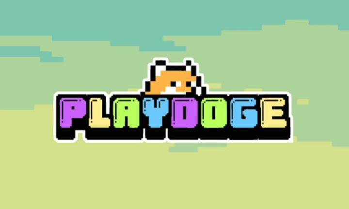 Playdoge PLAY 1