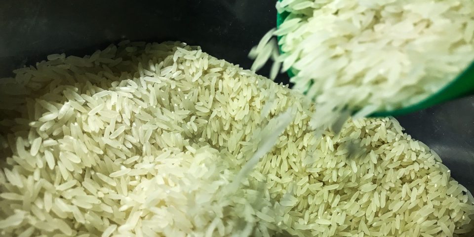 arroz 1009201524.jpg