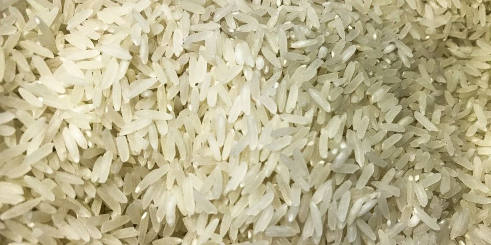 arroz 1009201525.jpg